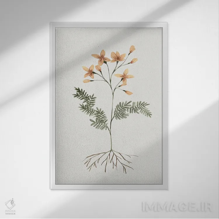 تابلو دکوراتیو گل های ریشه دار II اثر ایزابل زد - نمای قابدار سفید