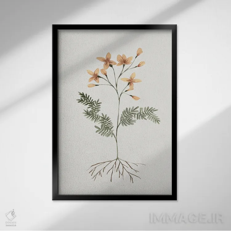 تابلو دکوراتیو گل های ریشه دار II اثر ایزابل زد - نمای قابدار مشکی