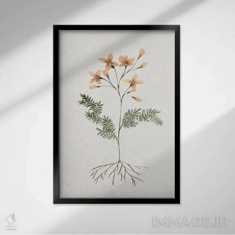 تابلو دکوراتیو گل های ریشه دار II اثر ایزابل زد - نمای قابدار مشکی