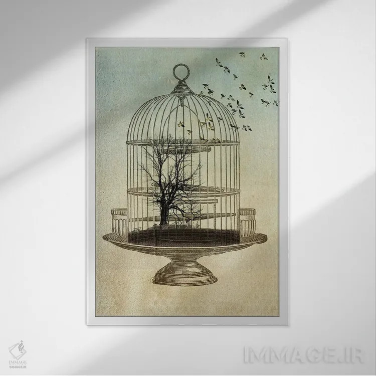 تابلو دکوراتیو پرندگان آزاد اثر وین زپ - نمای قابدار سفید