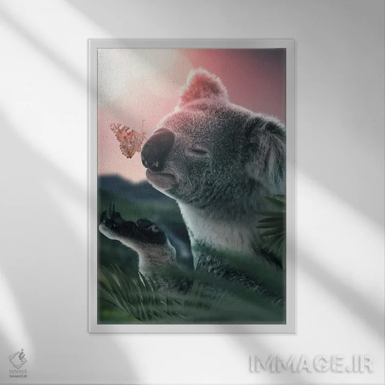 تابلو دکوراتیو پروانه کوآلا اثر زنیا گامر - نمای قابدار سفید