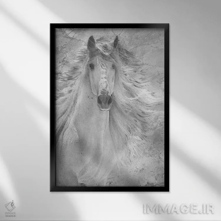 تابلو دکوراتیو کره اسب فرسکو یک اثر استیو هونزیکر - نمای قابدار مشکی