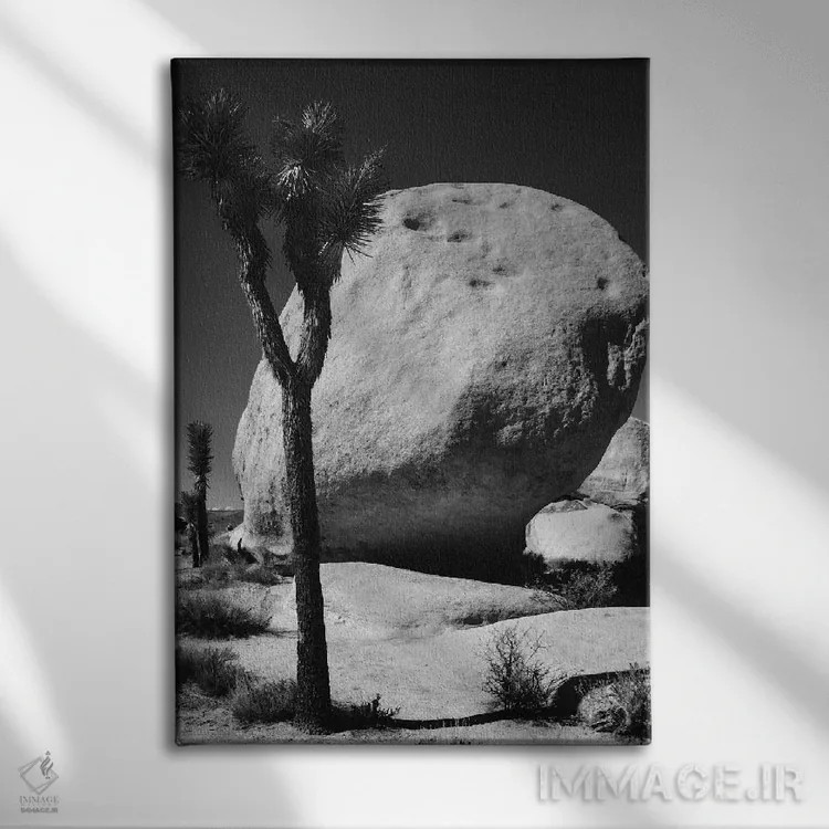 تابلو دکوراتیو پارک ملی جاشوا تری، کالیفرنیا I اثر زاندریا مونش - نمای روبهرو روی دیوار