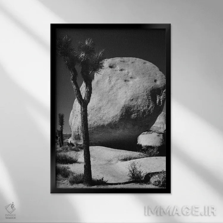 تابلو دکوراتیو پارک ملی جاشوا تری، کالیفرنیا I اثر زاندریا مونش - نمای قابدار مشکی