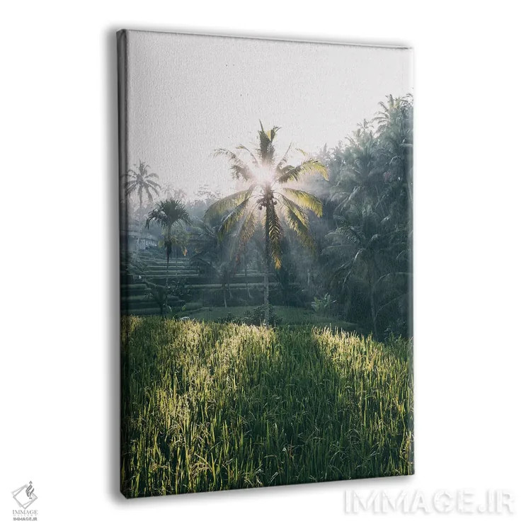 تابلو دکوراتیو تگالالانگ، اندونزی اثر سباستین شایخل - نمای پرسپکتیو محصول