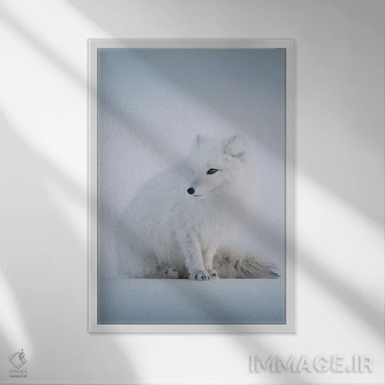تابلو دکوراتیو اسوالبارد، نروژ ۱ اثر سباستین شایخل - نمای قابدار سفید