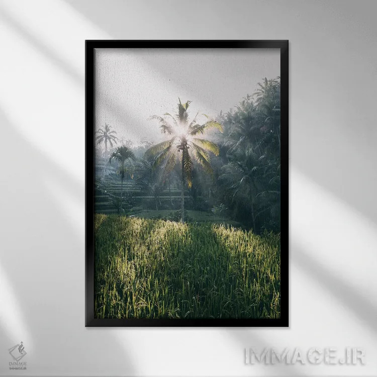 تابلو دکوراتیو تگالالانگ، اندونزی اثر سباستین شایخل - نمای قابدار مشکی