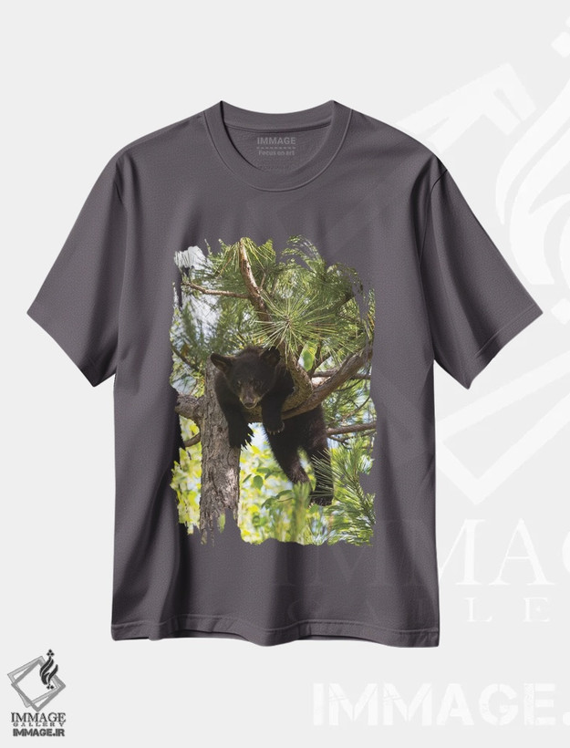 تیشرت طوسی طرح دار Minnesota, Sandstone, Black Bear Cub Stuck in a Tree,آمریکا، مینه سوتا، سندستون، توله خرس سیاه گیر افتاده در درخت اثر هولیس لونی