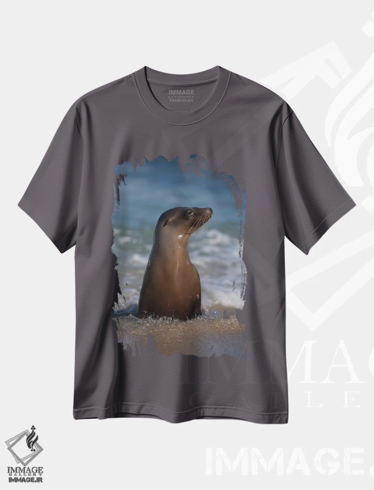 تیشرت طوسی طرح دار California, La Jolla. Young sea lion in beach water.,آمریکا، کالیفرنیا، لا هویا. شیر دریایی جوان در آب ساحل اثر جینز گالری