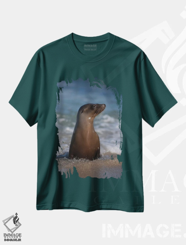 تیشرت سبز طرح دار California, La Jolla. Young sea lion in beach water.,آمریکا، کالیفرنیا، لا هویا. شیر دریایی جوان در آب ساحل اثر جینز گالری