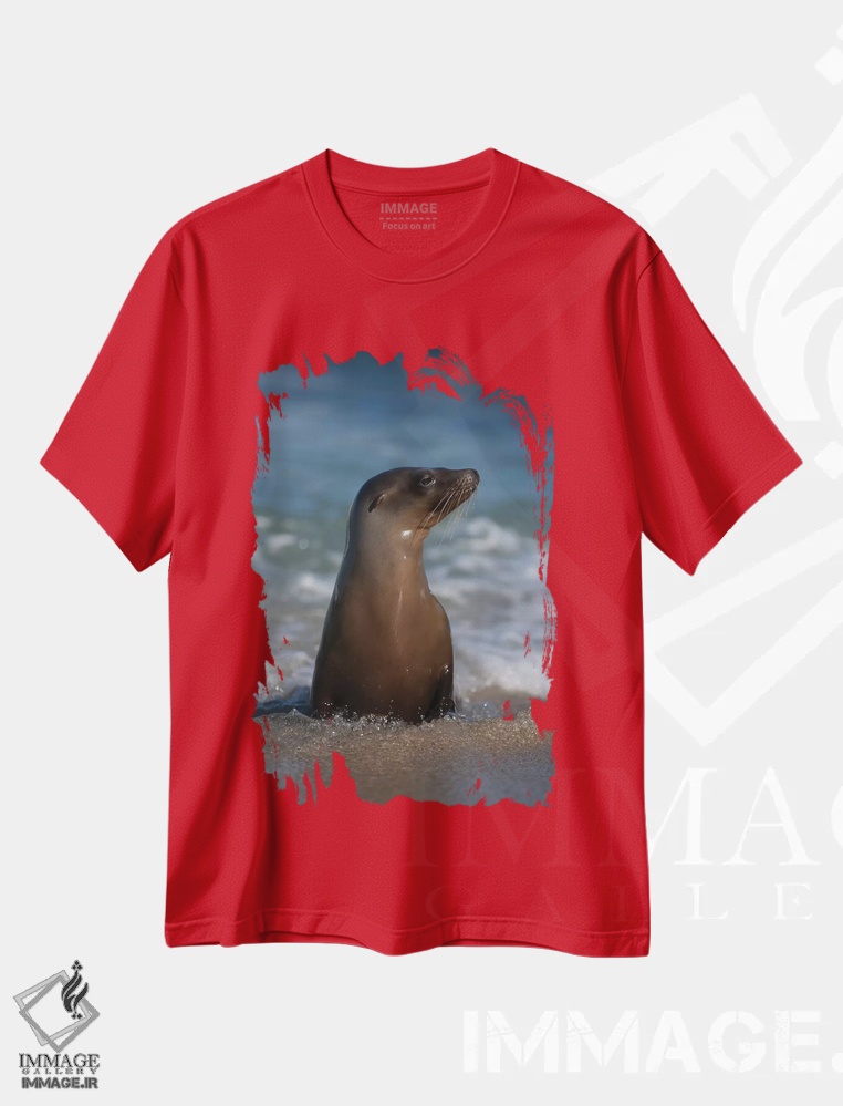تیشرت قرمز طرح دار California, La Jolla. Young sea lion in beach water.,آمریکا، کالیفرنیا، لا هویا. شیر دریایی جوان در آب ساحل اثر جینز گالری