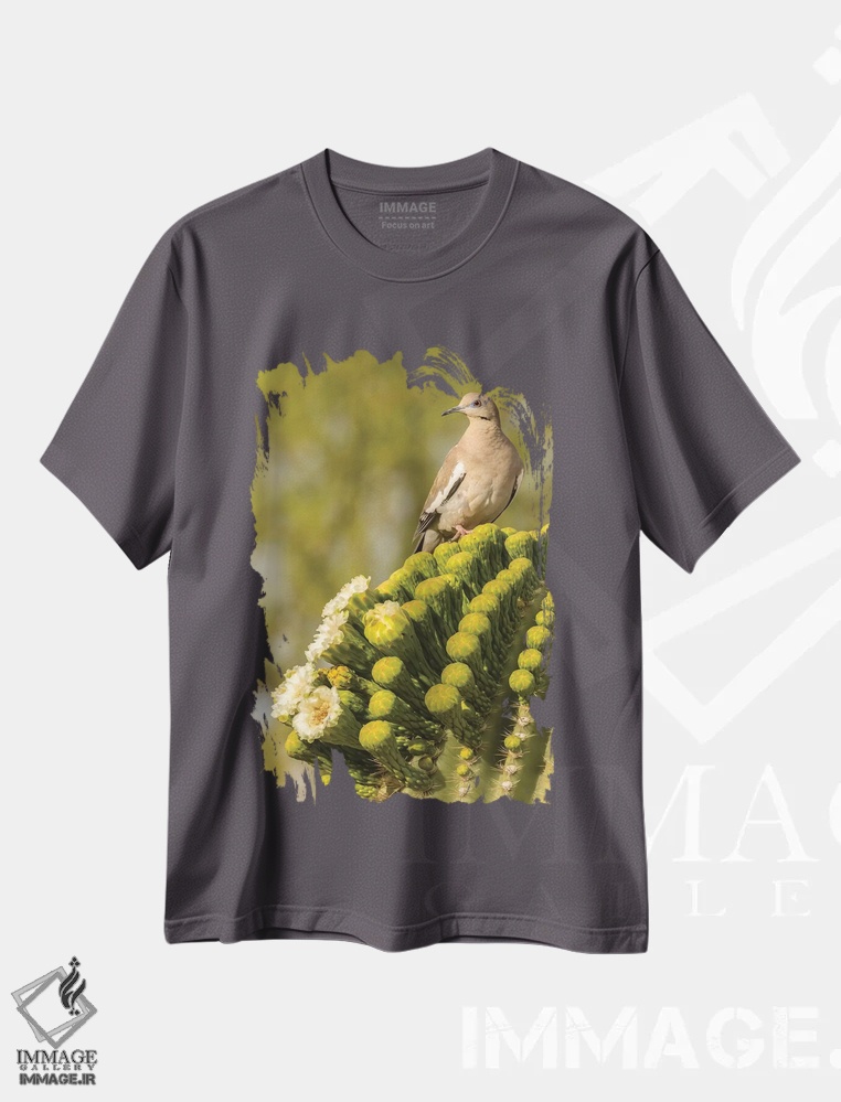 تیشرت طوسی طرح دار Arizona, Sonoran Desert. White-winged dove on saguaro cactus.,آمریکا، آریزونا، صحرای سونورا. قمری بال سفید بر روی کاکتوس ساگوارو اثر جینز گالری