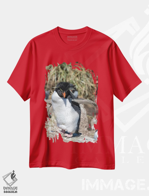 تیشرت قرمز طرح حیوانات ,subspecies western rockhopper penguin , Falkland Islands.,پنگوئن راک هاپر، زیرگونه غربی راک هاپر، جزایر فالکلند اثر مارتین زویک