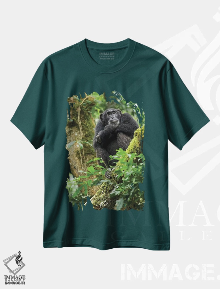 تیشرت سبز طرح طبیعت ,Uganda, Kibale National Park. A relaxed female chimpanzee sits aloft in a mossy tree.,آفریقا، اوگاندا، پارک ملی کیباله. یک شامپانزه ماده آرام روی درختی خزه دار نشسته است اثر کریستین موشر
