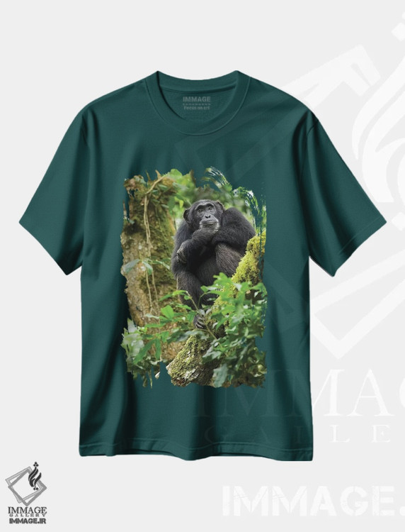 تیشرت سبز طرح طبیعت ,Uganda, Kibale National Park. A relaxed female chimpanzee sits aloft in a mossy tree.,آفریقا، اوگاندا، پارک ملی کیباله. یک شامپانزه ماده آرام روی درختی خزه دار نشسته است اثر کریستین موشر