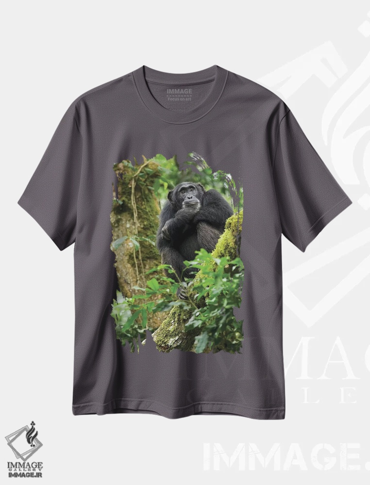 تیشرت طوسی طرح طبیعت ,Uganda, Kibale National Park. A relaxed female chimpanzee sits aloft in a mossy tree.,آفریقا، اوگاندا، پارک ملی کیباله. یک شامپانزه ماده آرام روی درختی خزه دار نشسته است اثر کریستین موشر