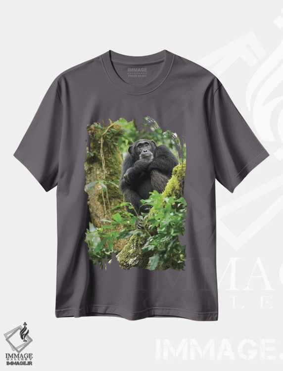 تیشرت طوسی طرح طبیعت ,Uganda, Kibale National Park. A relaxed female chimpanzee sits aloft in a mossy tree.,آفریقا، اوگاندا، پارک ملی کیباله. یک شامپانزه ماده آرام روی درختی خزه دار نشسته است اثر کریستین موشر