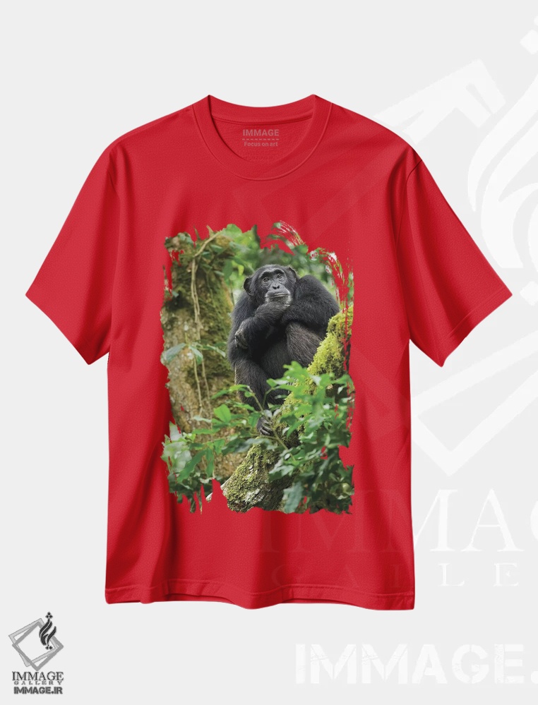 تیشرت قرمز طرح طبیعت ,Uganda, Kibale National Park. A relaxed female chimpanzee sits aloft in a mossy tree.,آفریقا، اوگاندا، پارک ملی کیباله. یک شامپانزه ماده آرام روی درختی خزه دار نشسته است اثر کریستین موشر