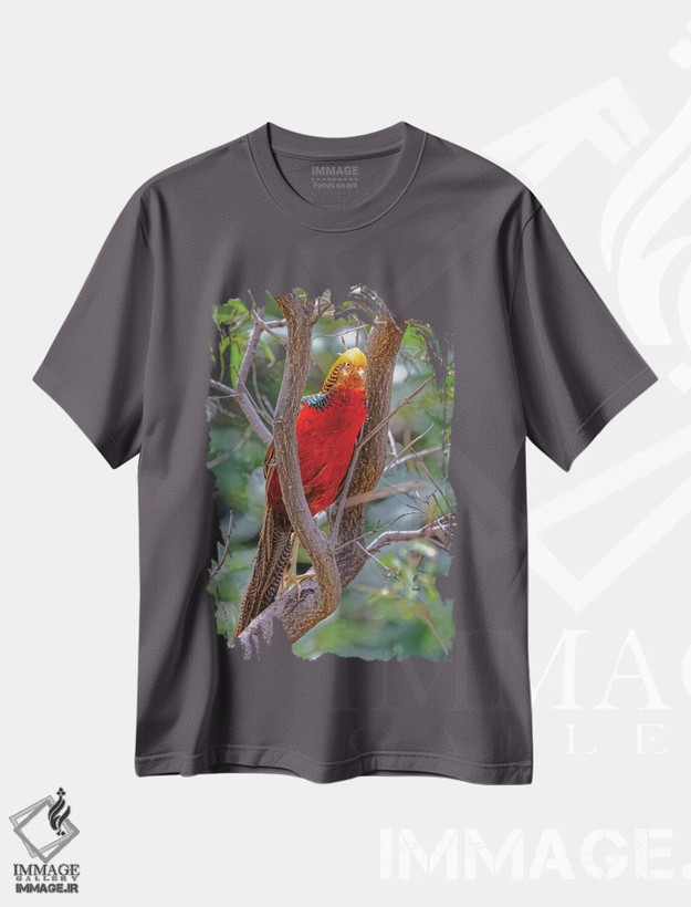 تیشرت طوسی طرح دار New Mexico, Alamogordo, Alameda Park Zoo. Golden Male Pheasant In Tree.,قرقاول نر طلایی بر درخت اثر جینز گالری
