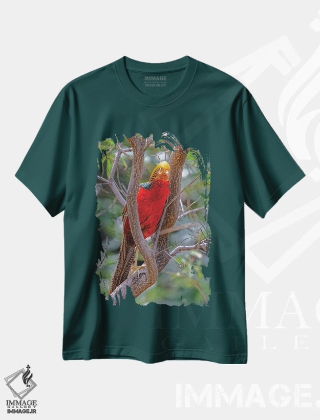 تیشرت سبز طرح دار New Mexico, Alamogordo, Alameda Park Zoo. Golden Male Pheasant In Tree.,قرقاول نر طلایی بر درخت اثر جینز گالری