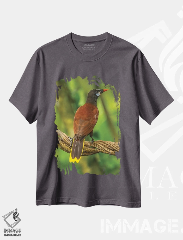 تیشرت طوسی طرح دار Sarapiqui River Valley. Montezuma Oropendola Bird On Vine.,کاستاریکا، دره رود سراپیکی. پرنده اوروپندولا مونتزوما روی تاک اثر جینز گالری