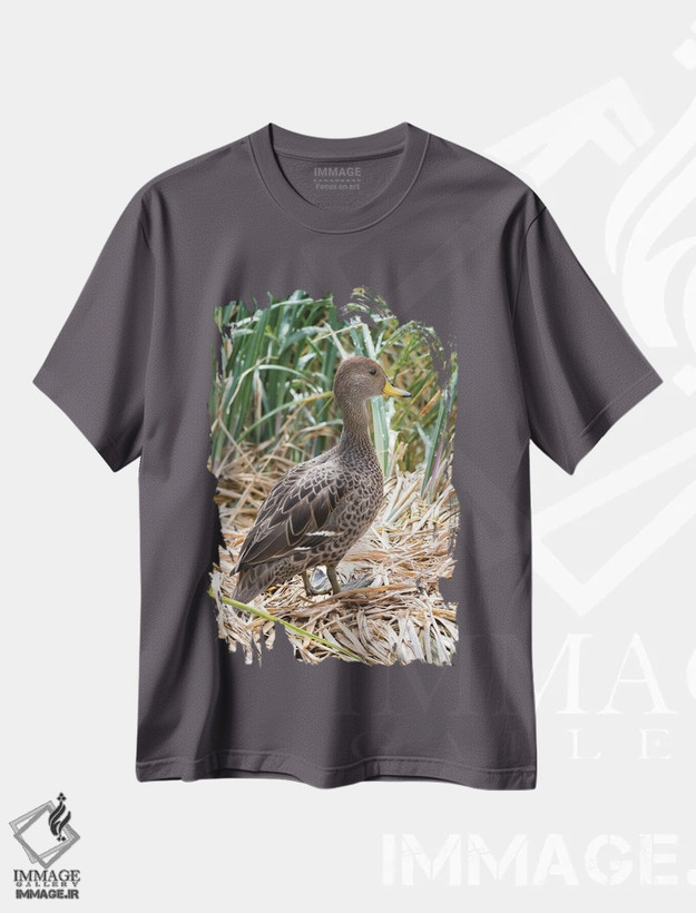 تیشرت طوسی طرح حیوانات ,in typical Tussock habitat.,پَنتِیل منقارزرد؛ گونه ای بومی جزیره جورجیای جنوبی، در زیستگاه typical تاساک اثر مارتین زویک