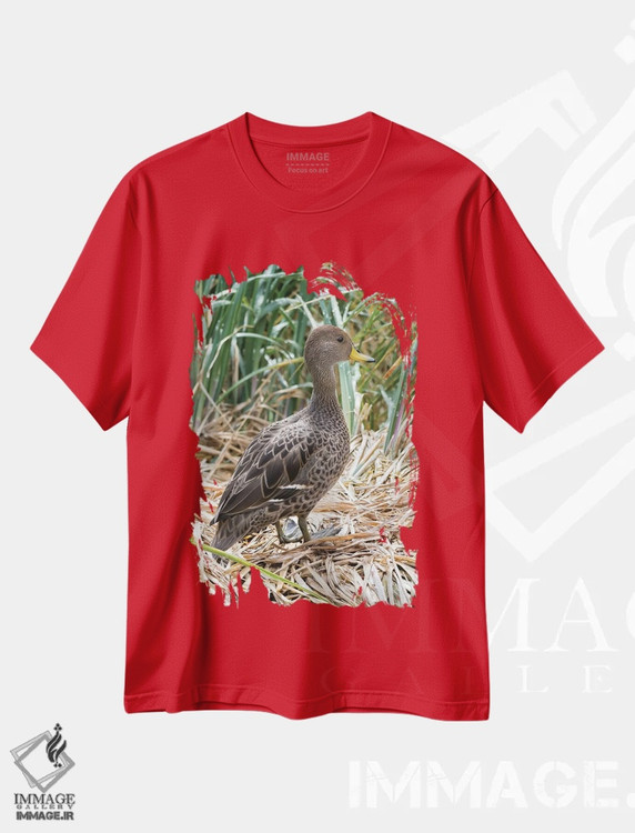 تیشرت قرمز طرح حیوانات ,in typical Tussock habitat.,پَنتِیل منقارزرد؛ گونه ای بومی جزیره جورجیای جنوبی، در زیستگاه typical تاساک اثر مارتین زویک