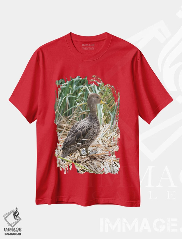 تیشرت قرمز طرح حیوانات ,in typical Tussock habitat.,پَنتِیل منقارزرد؛ گونه ای بومی جزیره جورجیای جنوبی، در زیستگاه typical تاساک اثر مارتین زویک