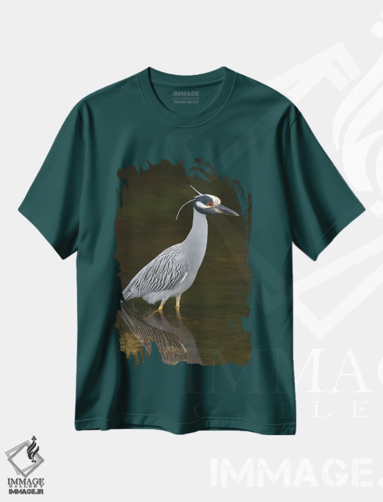 تیشرت سبز طرح دار J. N. Ding Darling National Wildlife Refuge, Florida,حواصیل شب تاج زرد، پناهگاه حیات وحش دینگ دارلینگ، فلوریدا اثر استیو گتل