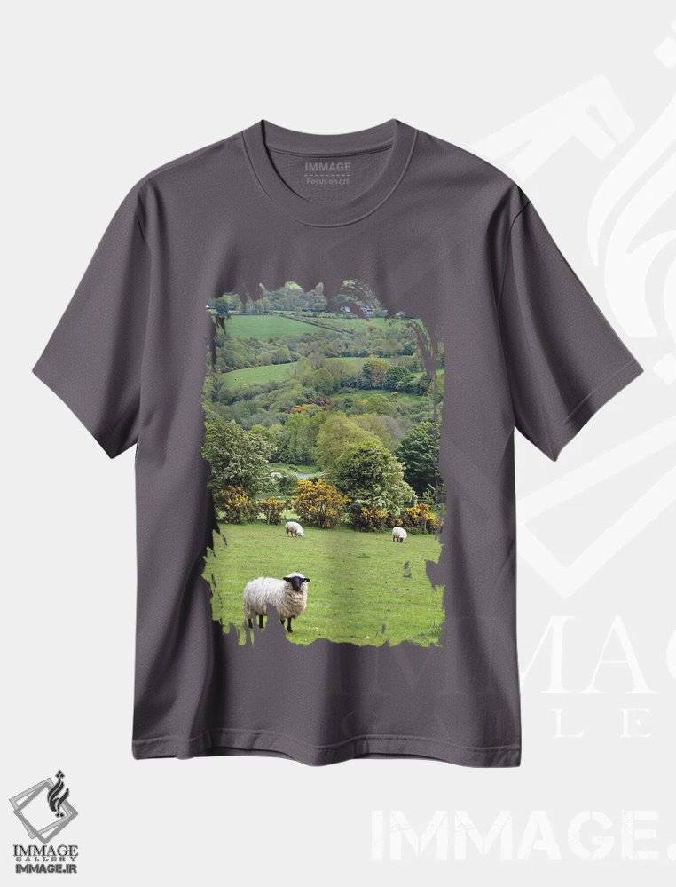 تیشرت طوسی طرح طبیعت ,Dingle Peninsula, County Kerry, Munster Province, Republic Of Ireland,منظره ٔ روستایی، شبه جزیره دینگل، شهرستان کری، استان مانستر، جمهوری ایرلند اثر مریلین پارور