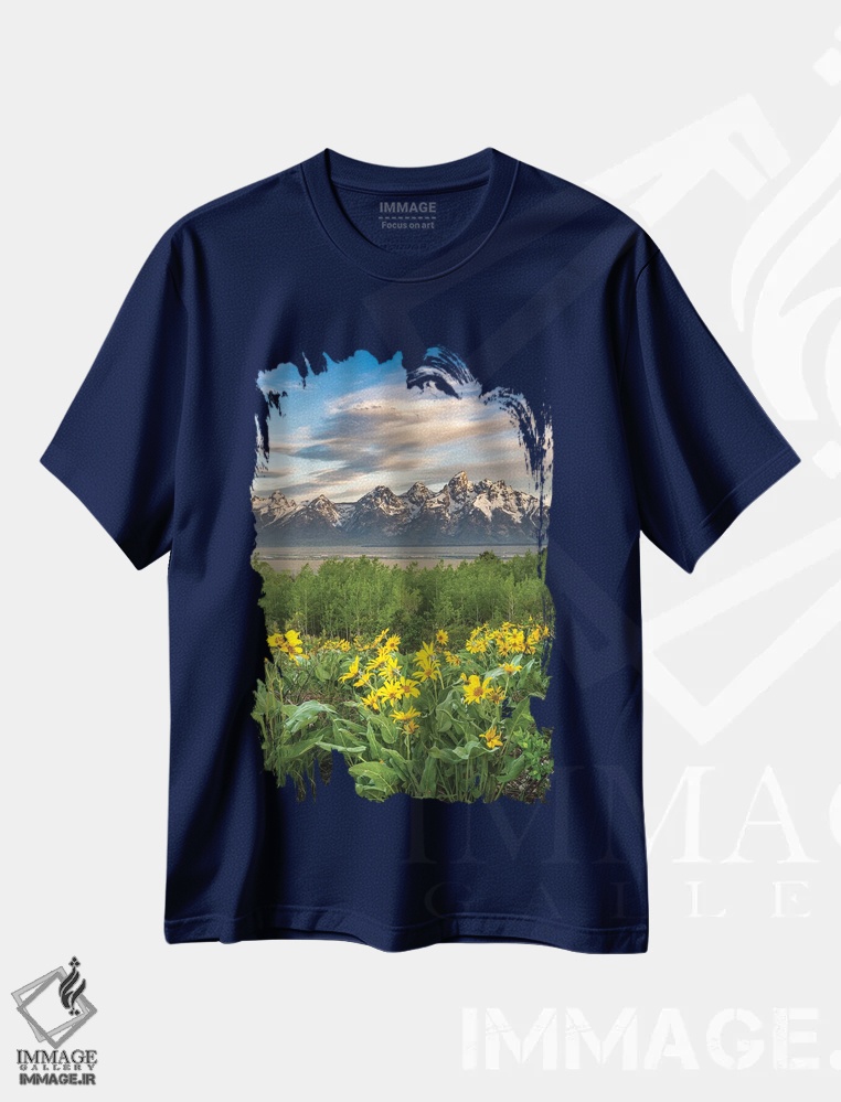 تیشرت سرمه ای طرح دار Wyoming. Arrowleaf Balsamroot Wildflowers And Aspen Trees, Grand Teton National Park.,آمریکا، وایومینگ. گل های وحشی والسام روت و درختان صنوبر، پارک ملی گرند تتون اثر هاوی گاربر