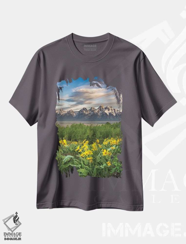 تیشرت طوسی طرح دار Wyoming. Arrowleaf Balsamroot Wildflowers And Aspen Trees, Grand Teton National Park.,آمریکا، وایومینگ. گل های وحشی والسام روت و درختان صنوبر، پارک ملی گرند تتون اثر هاوی گاربر
