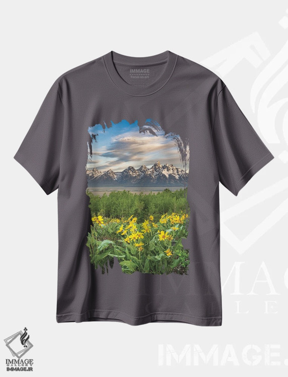 تیشرت طوسی طرح دار Wyoming. Arrowleaf Balsamroot Wildflowers And Aspen Trees, Grand Teton National Park.,آمریکا، وایومینگ. گل های وحشی والسام روت و درختان صنوبر، پارک ملی گرند تتون اثر هاوی گاربر