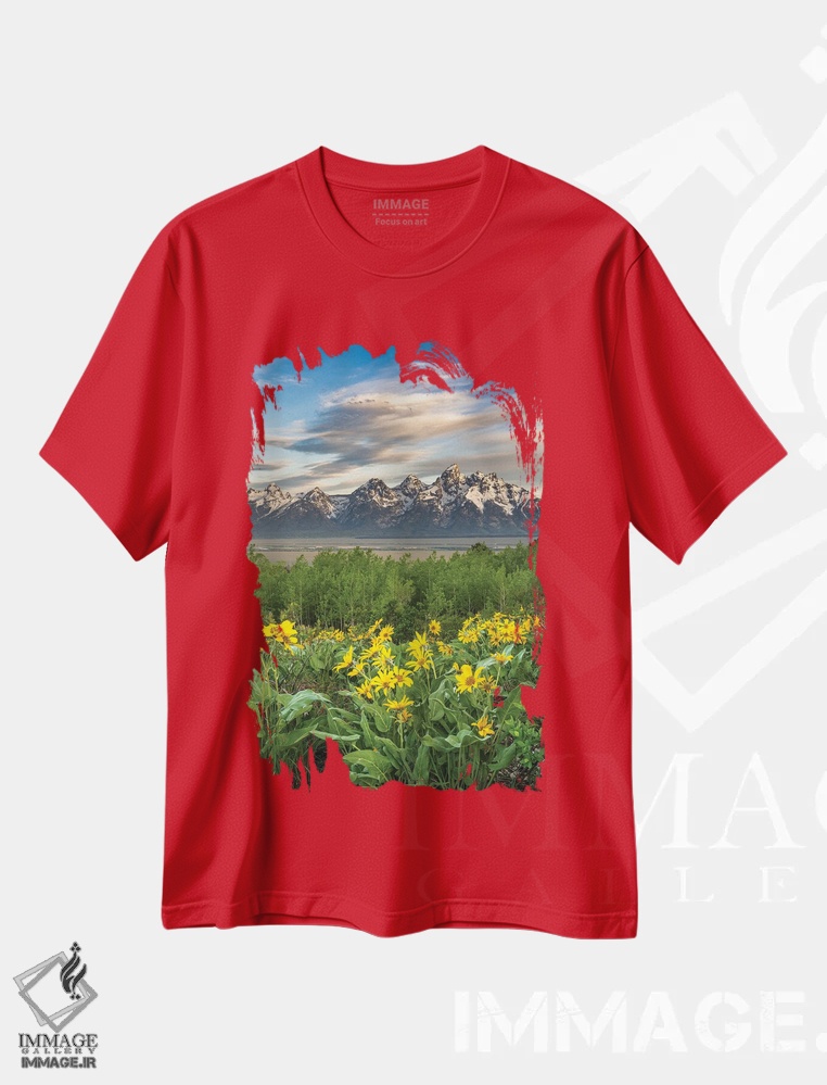 تیشرت قرمز طرح دار Wyoming. Arrowleaf Balsamroot Wildflowers And Aspen Trees, Grand Teton National Park.,آمریکا، وایومینگ. گل های وحشی والسام روت و درختان صنوبر، پارک ملی گرند تتون اثر هاوی گاربر