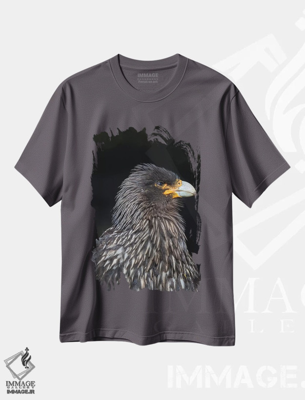 تیشرت طوسی طرح حیوانات ,protected and highly intelligent bird of prey. Falkland Islands,کاراکارای فالکلند یا جانی رووک، پرنده شکاری حفاظت شده و بسیار باهوش. جزایر فالکلند اثر مارتین زویک