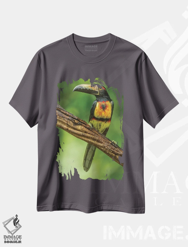 تیشرت طوسی طرح دار Arenal. Bananaquit Feeding On Vervain.,کاستاریکا، آرنال. تغذیهٔ پرندهٔ بناناکویت از گل وِروِوین اثر جینز گالری