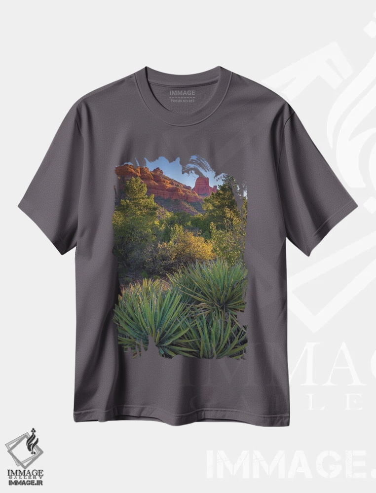 تیشرت طوسی طرح دار Arizona, Sedona. Landscape with rock formation and cacti.,چشم انداز سدونا با صخره ها و کاکتوس ها اثر جینز گالری