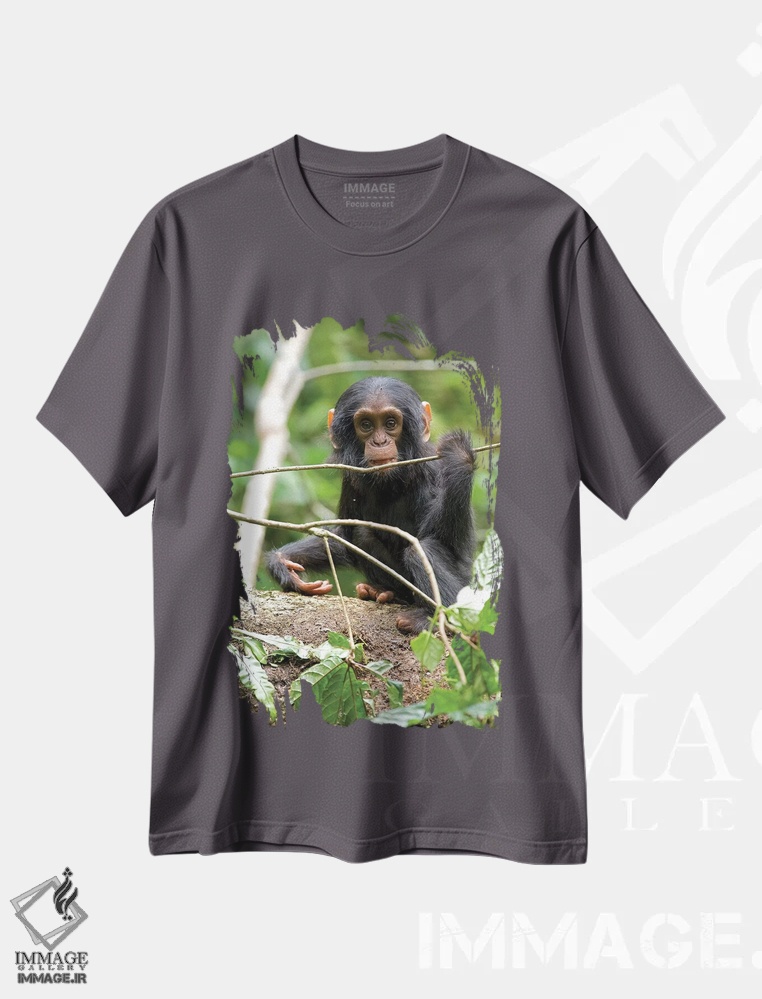 تیشرت طوسی طرح طبیعت ,Uganda, Kibale National Park. A playful and curious infant chimpanzee.,آفریقا، اوگاندا، پارک ملی کیباله. یک شامپانزه نوزاد بازیگوش و کنجکاو اثر کریستین موشر