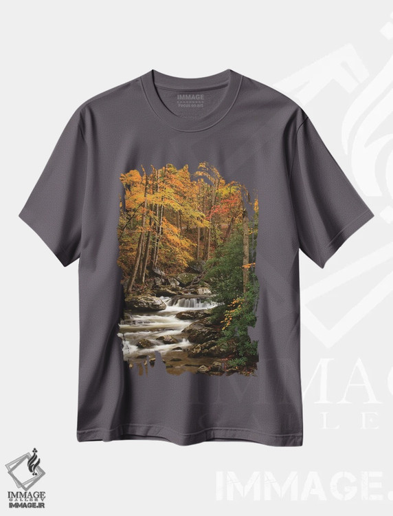 تیشرت طوسی طرح دار Tennesse. Fall foliage along a stream in the Smoky Mountains.,آمریکا، تنسی. برگ های پاییزی در امتداد رودخانه ای در کوه های اسموکی اثر جوآن ولز