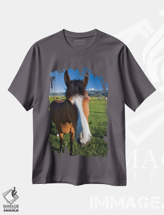 تیشرت طوسی طرح دار California, Sierra Nevada Mountains. Curious horse in Bridgeport Valley.,اسب کنجکاو در دره بریج پورت اثر جینز گالری