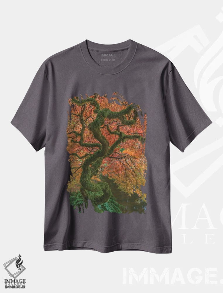تیشرت طوسی طرح دار Washington State, Bainbridge Island. Japanese maple tree in fall.,ایالات متحده، ایالت واشینگتن، جزیره بین بریج. درخت افرا ژاپنی در پاییز. اثر جینز گالری