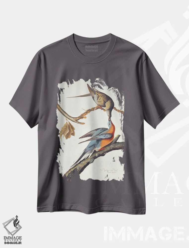 تیشرت طوسی طرح دار From 'Birds Of America',کبوتر مسافر اثر جان جیمز آدوبون