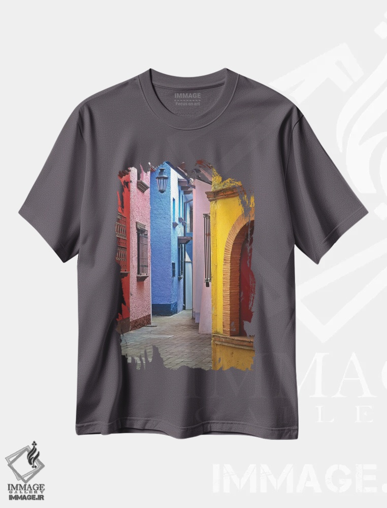 تیشرت طوسی طرح دار Veracruz State. Colorful colonial architecture.,مکزیک، ایالت وراکروز. معماری استعماری رنگارنگ اثر جینز گالری