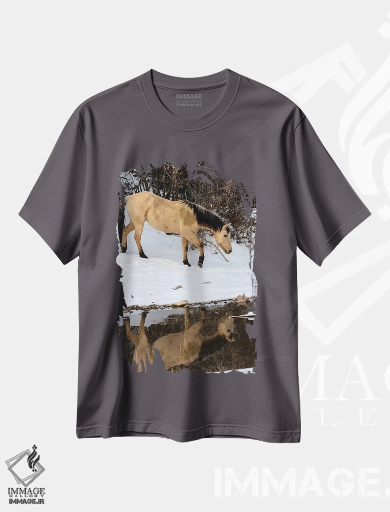 تیشرت طوسی طرح دار Shell, Wyoming Hideout Ranch Lone Horse In Reflection Shell Creek,آمریکا، شل، وایومینگ، اسب تنها در بازتاب شکل گرفته در نهر شل اثر دارل گالین