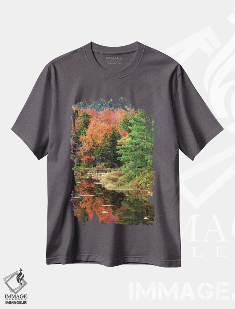 تیشرت طوسی طرح دار New Hampshire, White Mountains. Autumn lake reflections.,آمریکا، نیوهمپشایر، کوه های وایت. بازتاب های پاییزی دریاچه اثر جینز گالری
