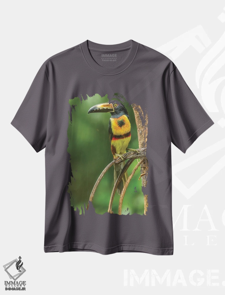 تیشرت طوسی طرح دار La Selva Biological Research Station. Collared Aricari On Limb.,کاستاریکا، ایستگاه تحقیقات زیستی لا سلوا. پرندهٔ آریکاری یقه دار روی شاخه اثر جینز گالری