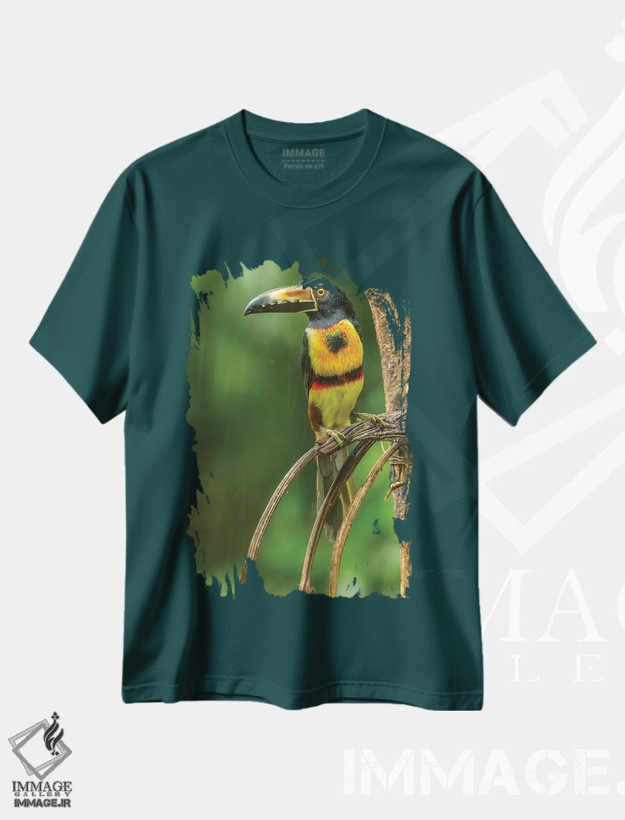 تیشرت سبز طرح دار La Selva Biological Research Station. Collared Aricari On Limb.,کاستاریکا، ایستگاه تحقیقات زیستی لا سلوا. پرندهٔ آریکاری یقه دار روی شاخه اثر جینز گالری