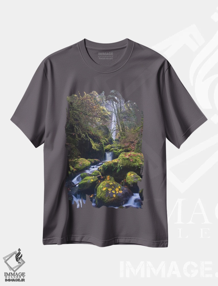تیشرت طوسی طرح دار Oregon. Autumn view of McCord Creek flowing below Elowah Falls in the Columbia River Gorge.,نمای پاییزی جریان رود مک کورد زیر آبشار الووا، دره کلمبیا، اورگن، آمریکا اثر گری لوهِم