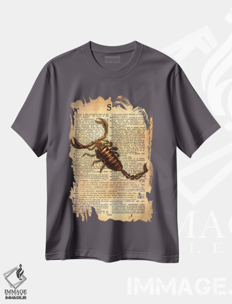 تیشرت طوسی طرح دار S اثر فایو بای فایو کالکتیو