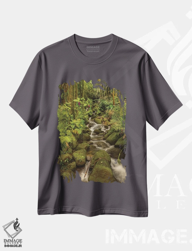 تیشرت طوسی طرح دار Hawaii, Hawaii Tropical Botanical Garden. Tropical stream cascade over rocks.,آمریکا، هاوایی، باغ گیاه شناسی استوایی هاوایی. جوی استوایی که بر روی سنگ ها جاری است اثر جینز گالری